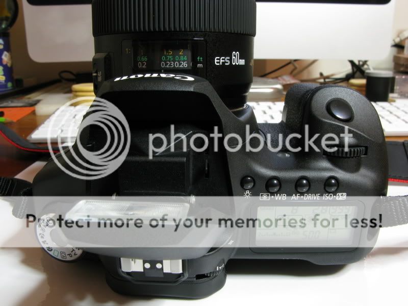Présentation Canon EOS 50D & Canon EF-S 60mm macro USM IMG_2110